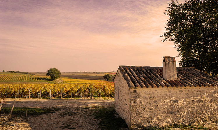Sociando-Mallet - The vineyard cabins